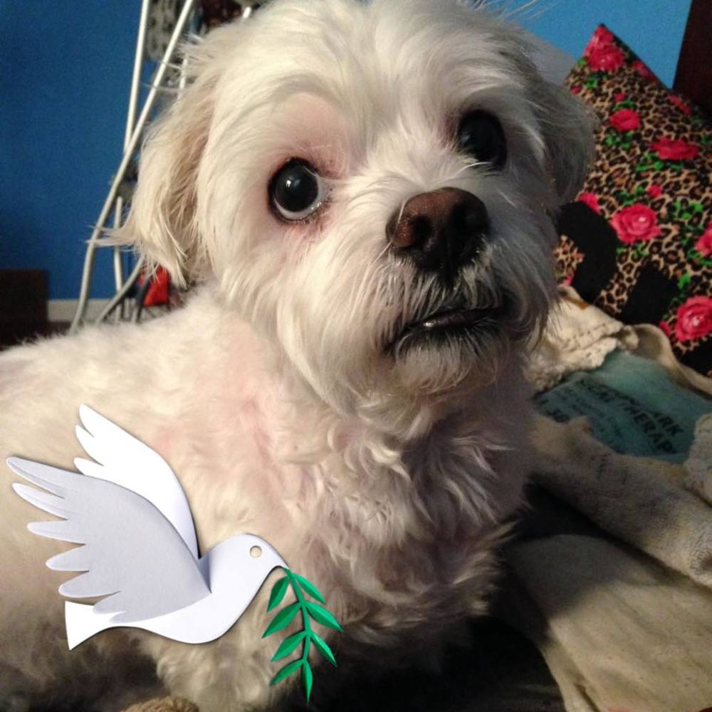 Meet your Posher, Nilda